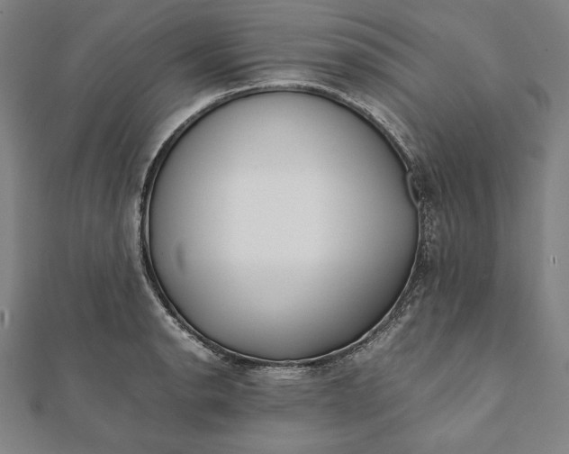 X0000112051134200908181131