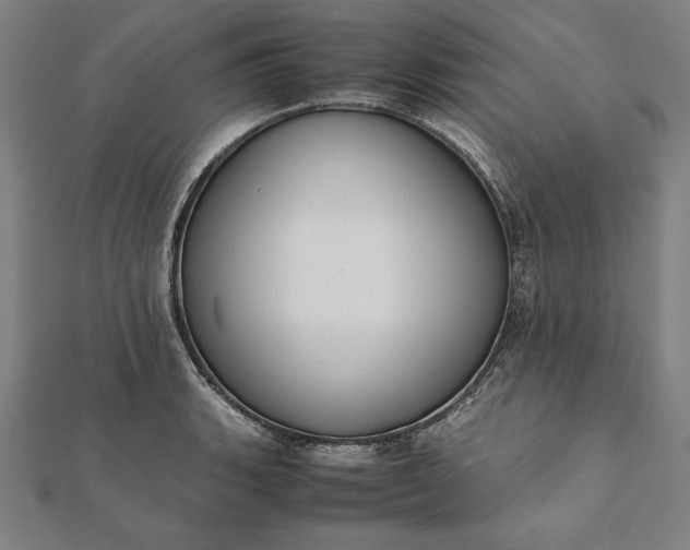 X0000112051135200908181131