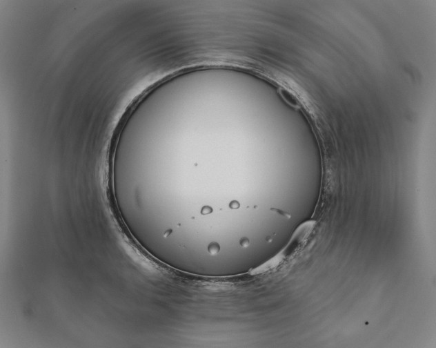 X0000112051136200908181131