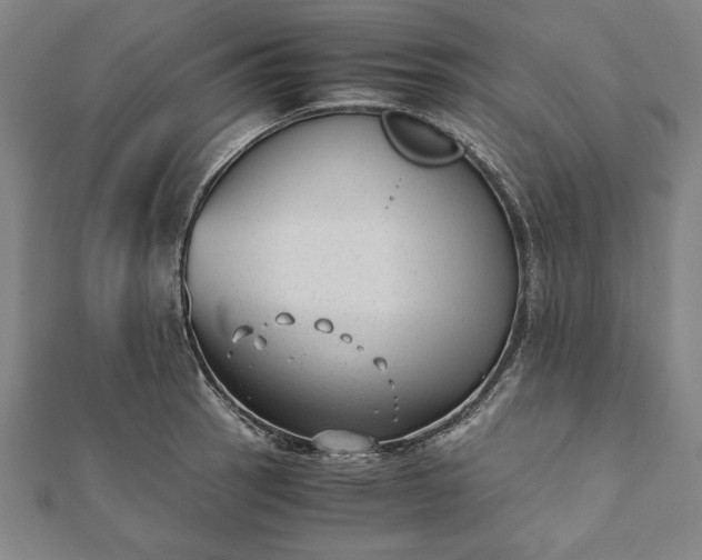 X0000112051137200908181131