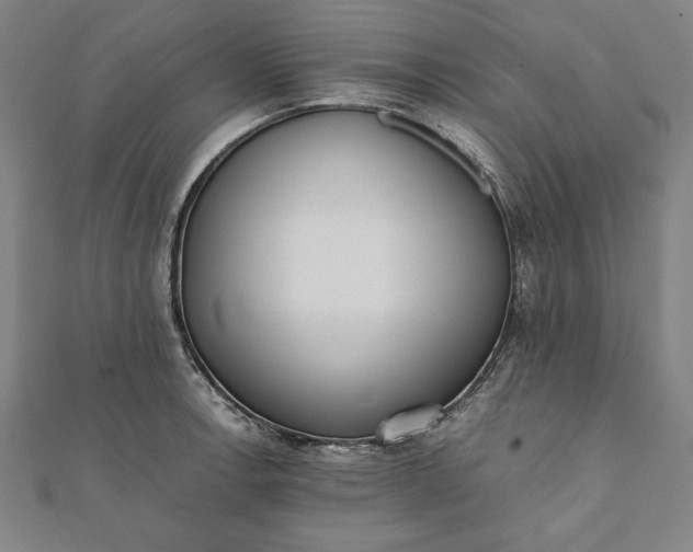 X0000112051138200908181131