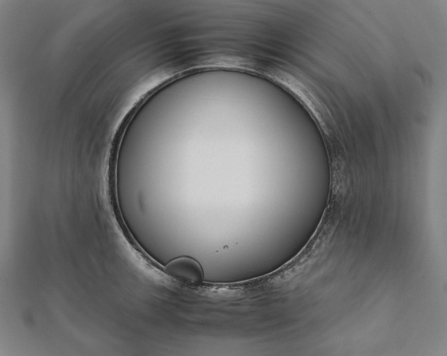 X0000112051139200908181131