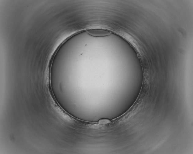 X0000112051140200908181131