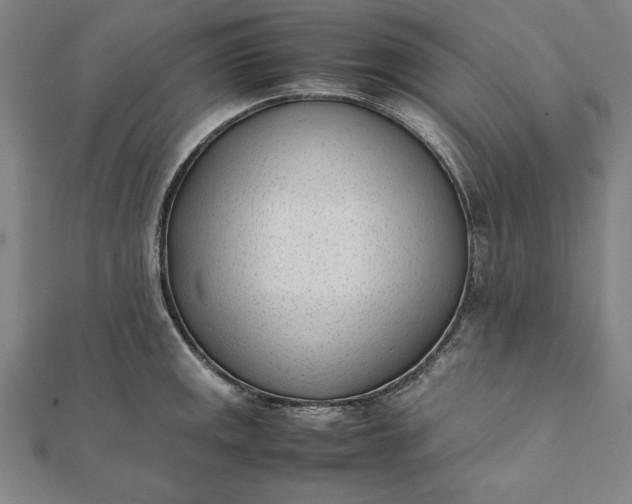 X0000112051141200908181131