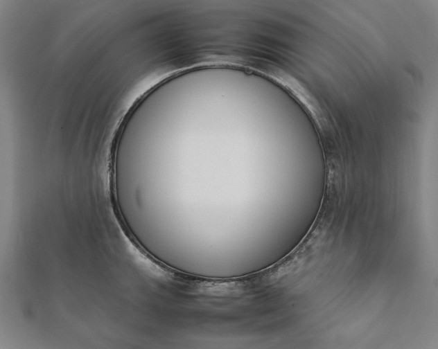 X0000112051143200908181131