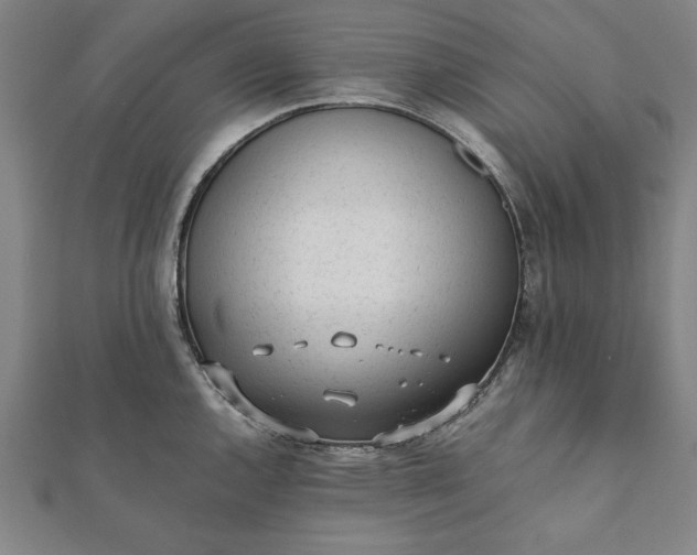 X0000112051144200908181131