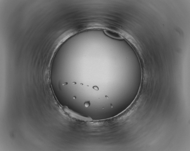 X0000112051145200908181131