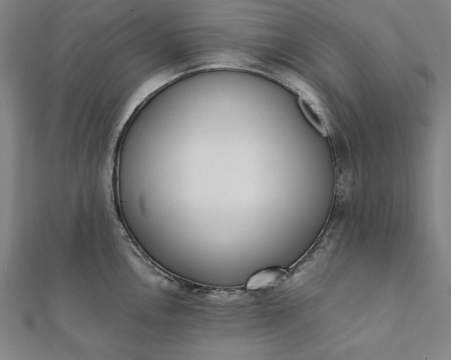 X0000112051146200908181131