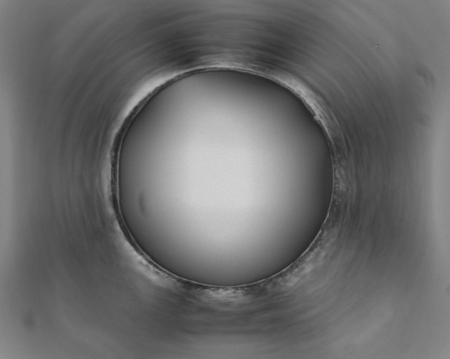 X0000112051147200908181131