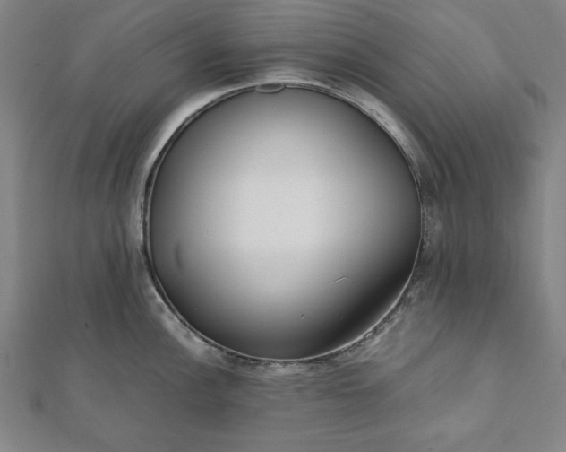 X0000112051148200908181131