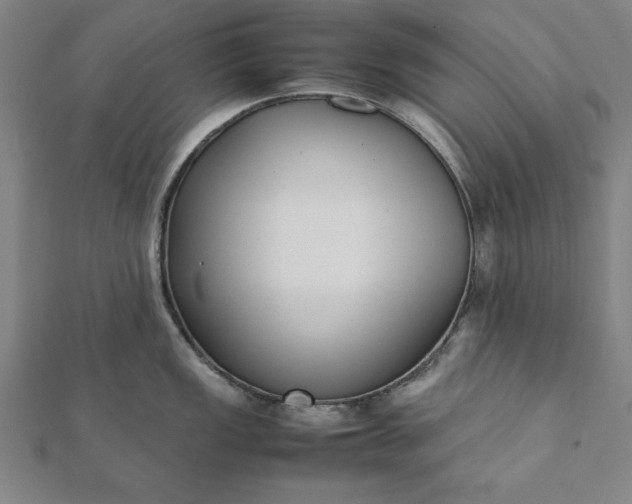 X0000112051149200908181131