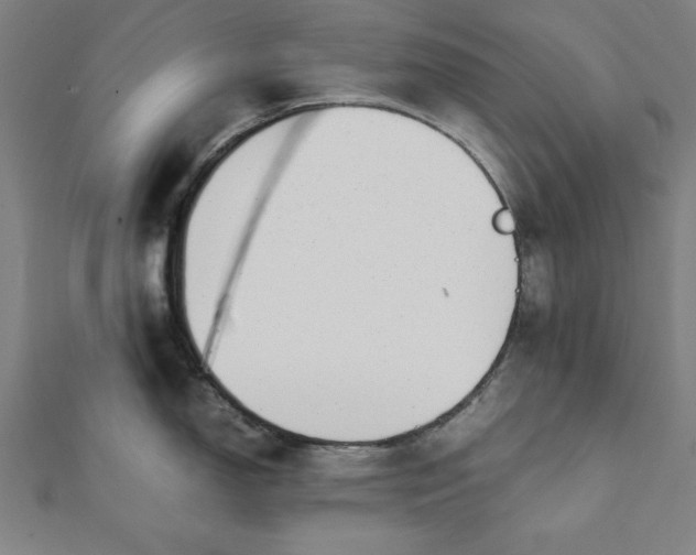 X0000112051150200908181131