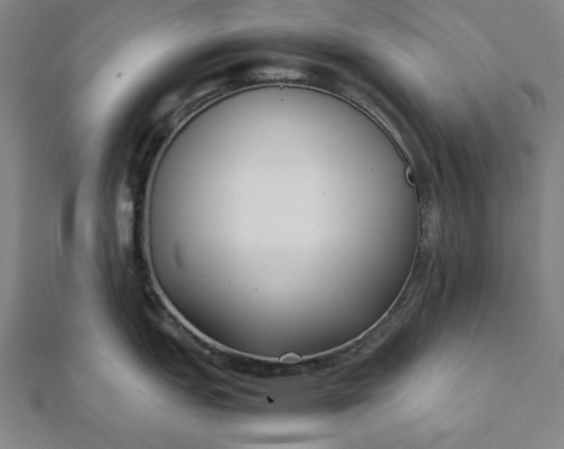 X0000112051151200908181131