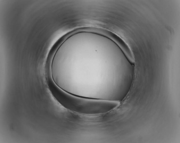 X0000112051152200908181131