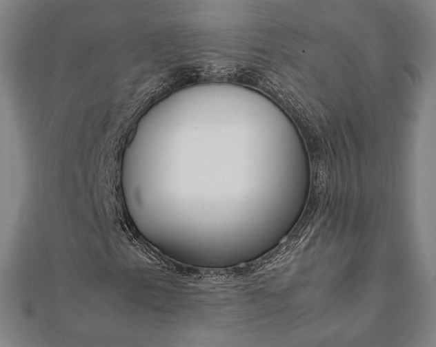 X0000112051153200908181131