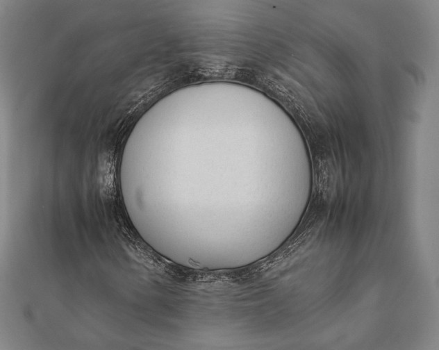 X0000112051154200908181131