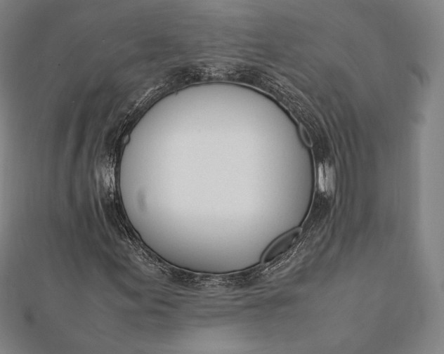 X0000112051155200908181131