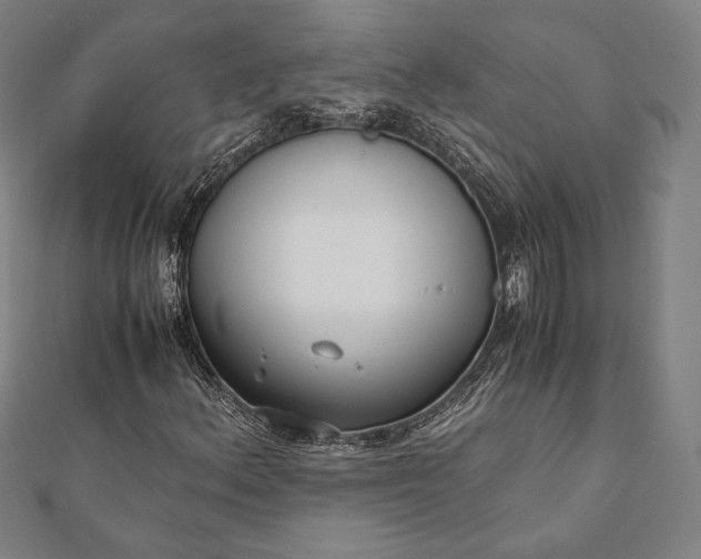 X0000112051156200908181131