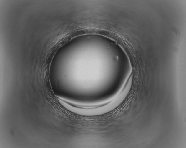 X0000112051157200908181131