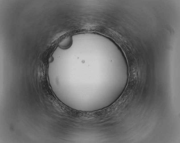 X0000112051158200908181131