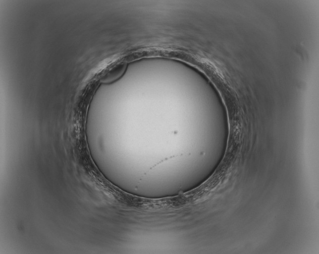 X0000112051159200908181131