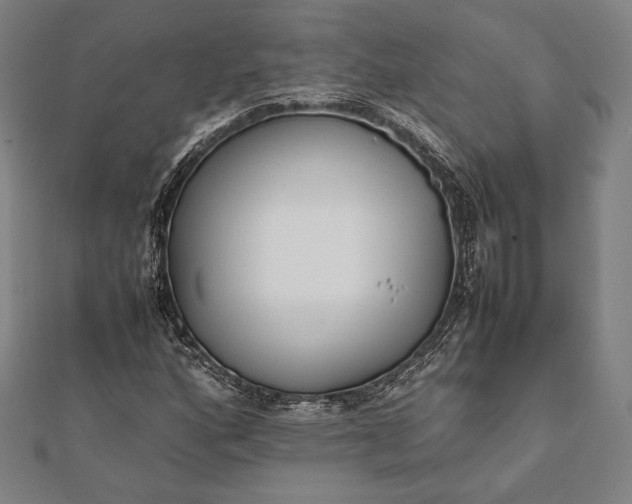 X0000112051160200908181131