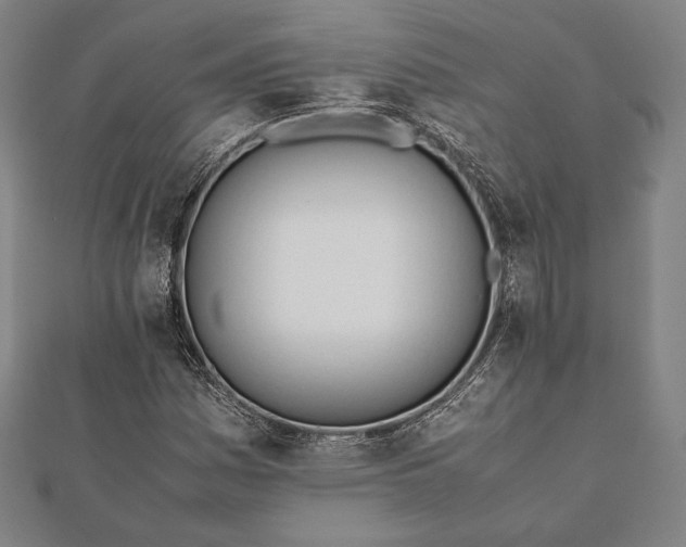 X0000112051161200908181131