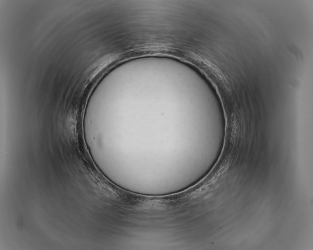 X0000112051162200908181131