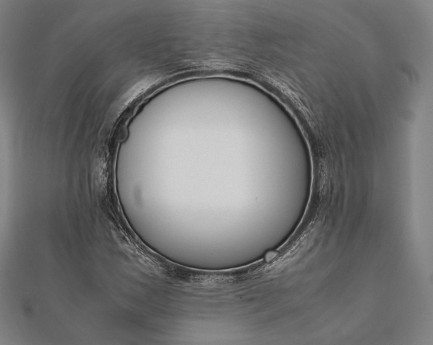 X0000112051163200908181130