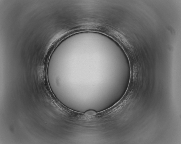 X0000112051164200908181130