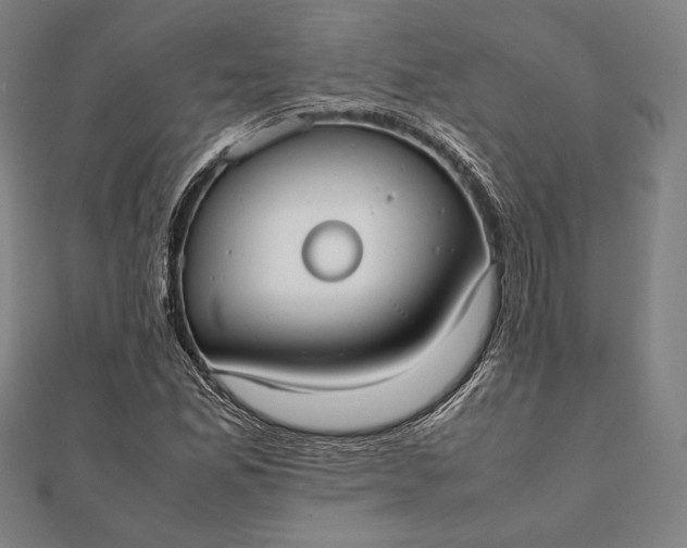 X0000112051165200908181130