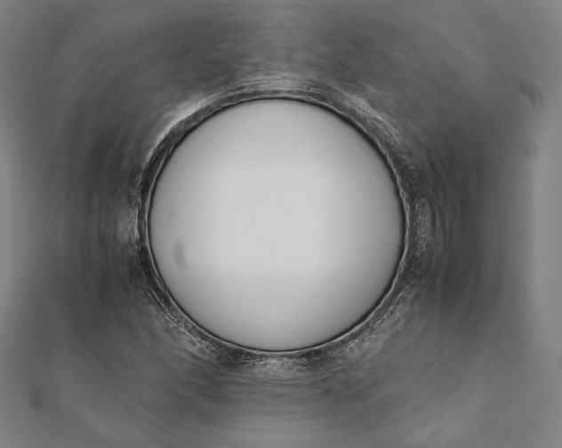 X0000112051166200908181130