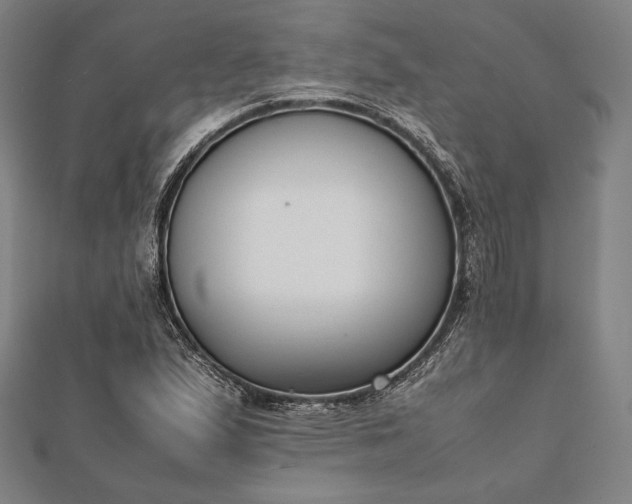 X0000112051167200908181130