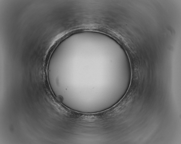 X0000112051168200908181130