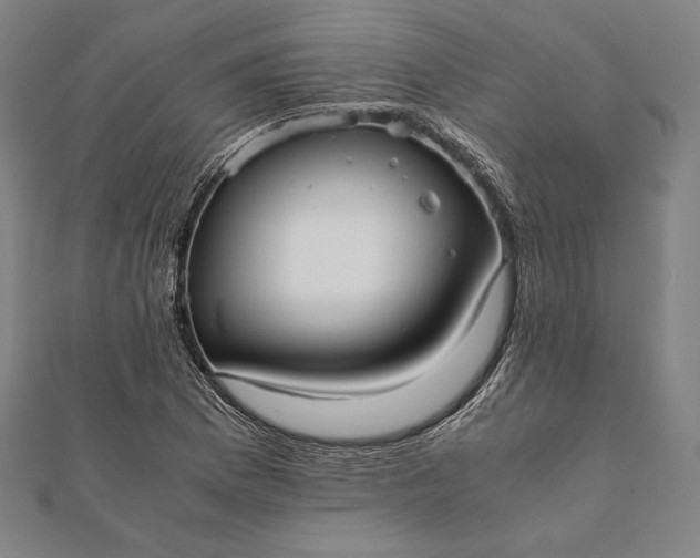 X0000112051169200908181130