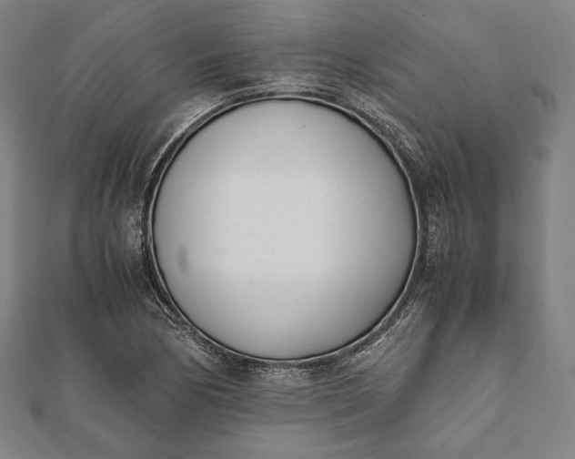 X0000112051170200908181130