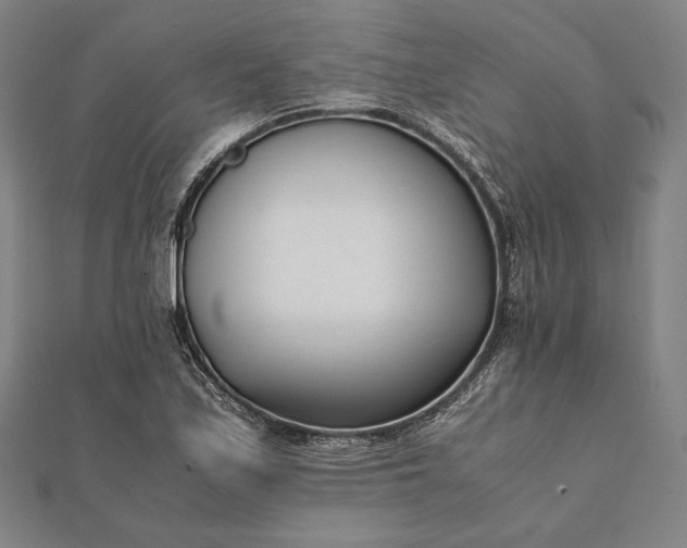 X0000112051171200908181130