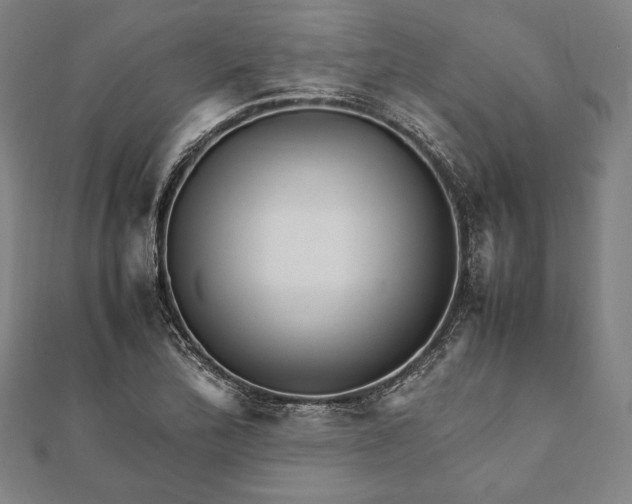 X0000112051172200908181130