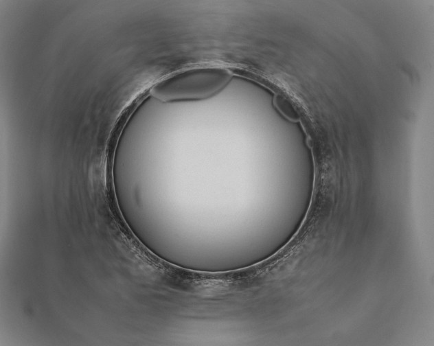 X0000112051173200908181130