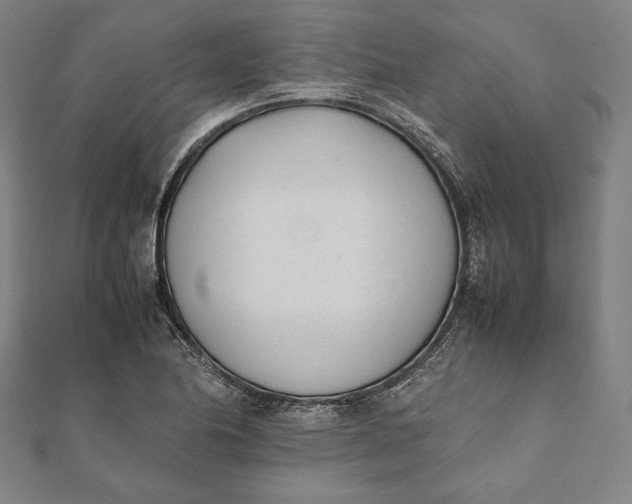 X0000112051174200908181130