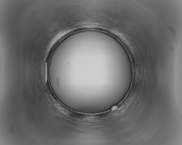 X0000112051175200908181130