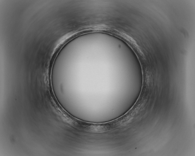 X0000112051176200908181130