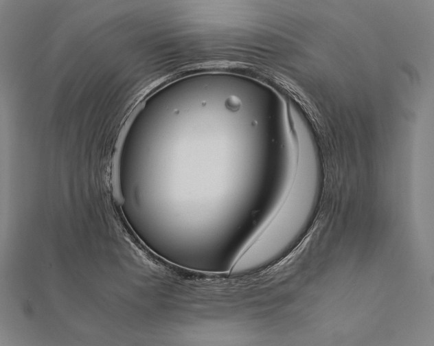 X0000112051177200908181130