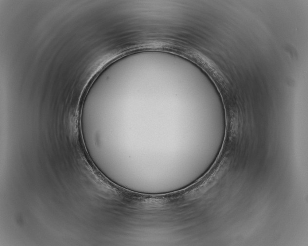 X0000112051178200908181130