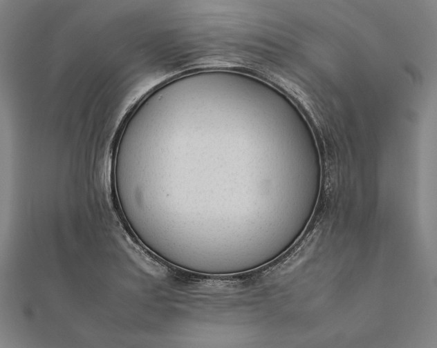 X0000112051179200908181130