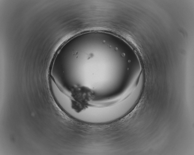 X0000112051181200908181130