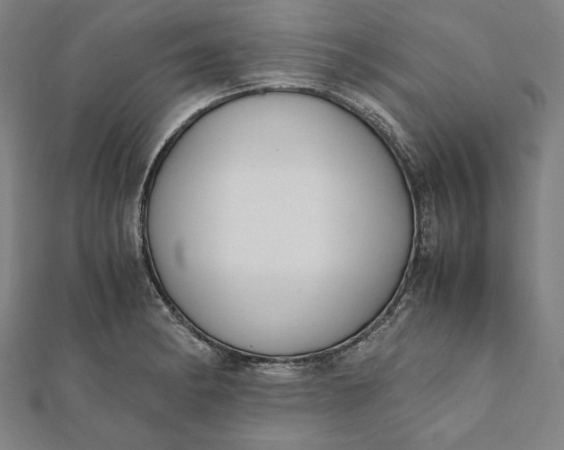 X0000112051182200908181130