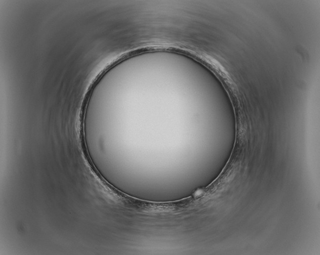 X0000112051183200908181130