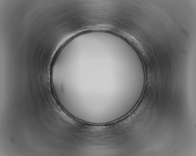 X0000112051184200908181130