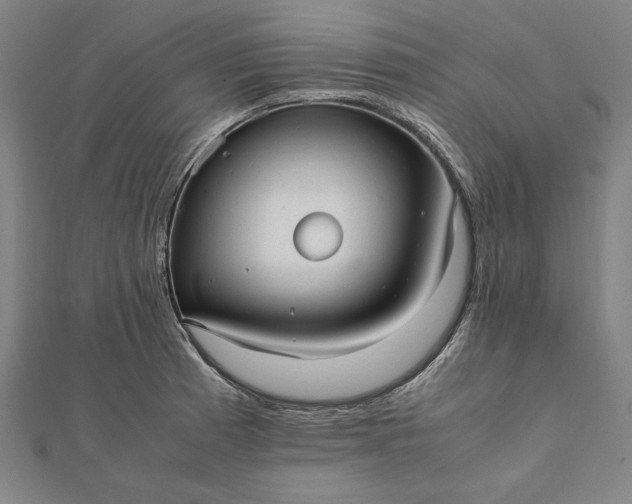 X0000112051185200908181130